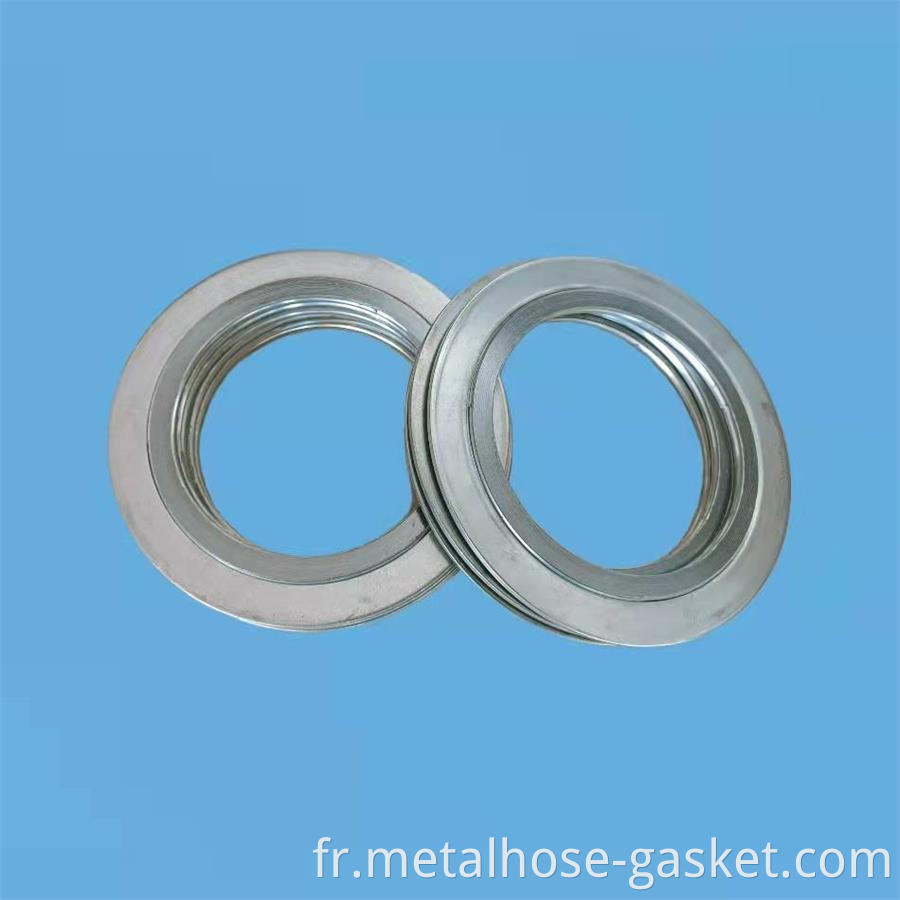 Spiral Wound Gaskets with Outer Ring 